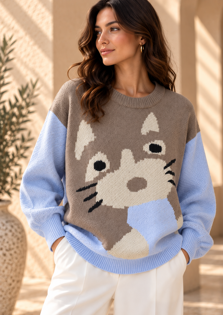 Women’s Color-Block Round Neck Knit Sweater